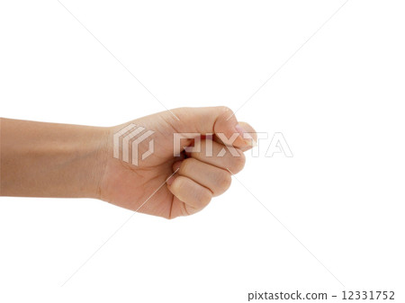 手白背 12331752