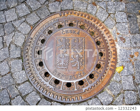 Hatch of sewage on the paving road 12332243