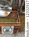 炒青綠茶 12332917