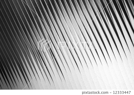 Abstract background texture with white fabric cut into strips Abstract background texture with white fabric cut into strips 12333447