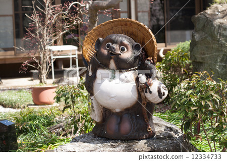 Raccoon drawing Raccoon drawing 12334733