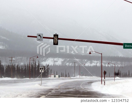 Denali National Park_ Denali National Park Winter 12334752
