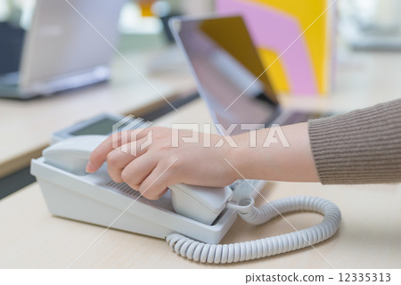 Business phone 12335313