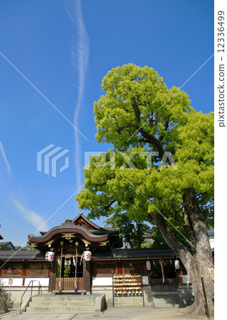 春日神社 12336499