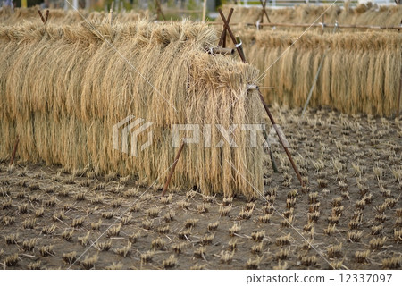 Inland rack 12337097