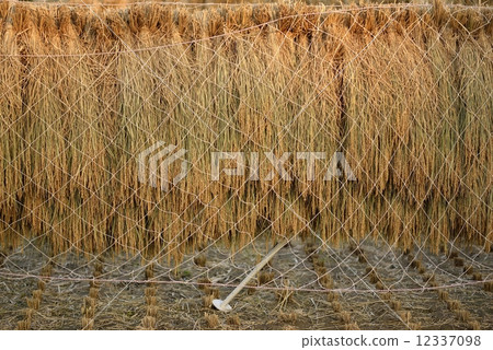 Inland rack 12337098