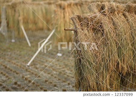 Inland rack Inland rack 12337099