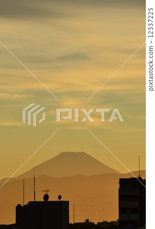 Mount Fuji Mount Fuji 12337225