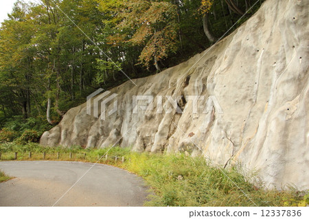 Mudslide prevention 12337836