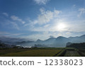 Morning 12338023