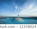 The pool 12338024
