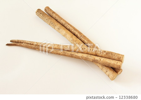 Burdock Burdock 12338680