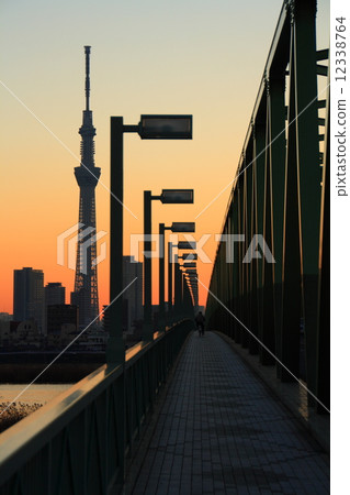 在黃昏和東京天空樹的荒川 12338764