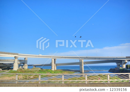 Odawara City Hayakawa estuary estuary Afternoon 12339156