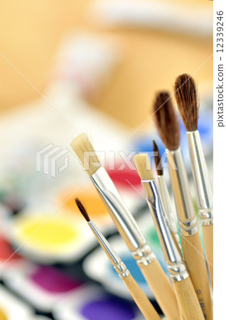 Paint brushes Paint brushes 12339246