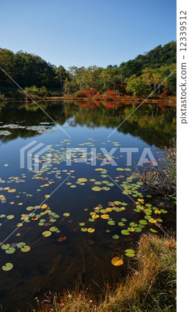 Fall of Shika Kogen Kazunuma 12339512