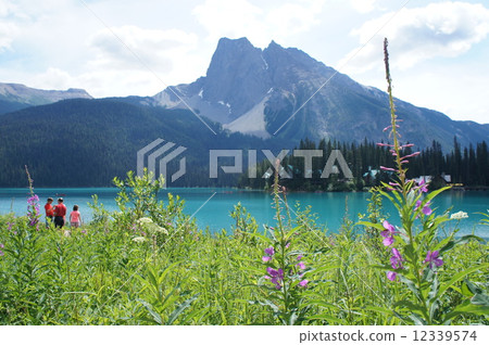 徒步旅行 12339574