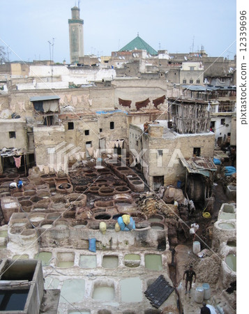 摩洛哥非斯皮革鞣製 12339696