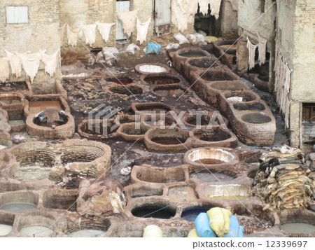 摩洛哥非斯皮革鞣製 12339697