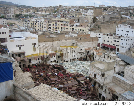 Morocco Fes leather tanning 12339700