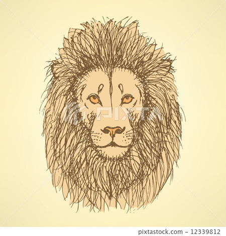 Sketch cute lion in vintage style 12339812