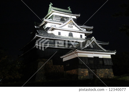 松江城〜夜〜 松江城〜夜〜 12340077