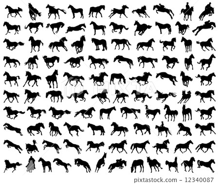 horses  12340087