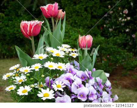 Farming Farming 12341127