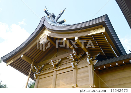 Formative beauty 12342473