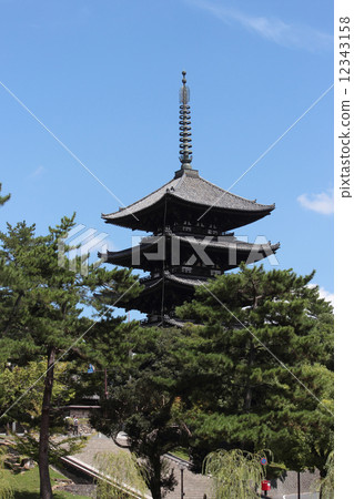 Kofuku-ji奈良縣的五層寶塔 12343158