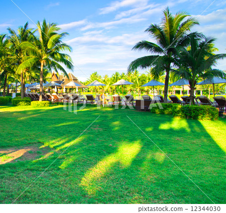 Garden Garden 12344030