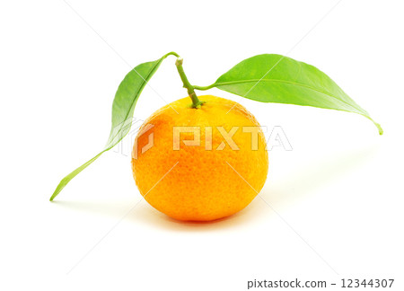 mandarin mandarin 12344307