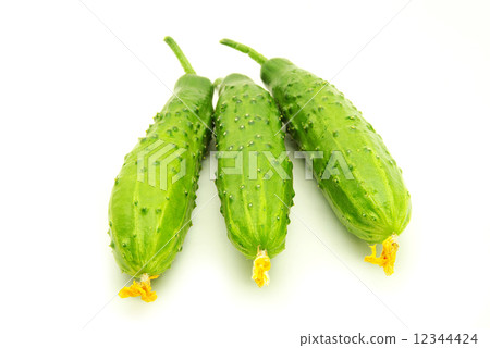 cucumbers 12344424