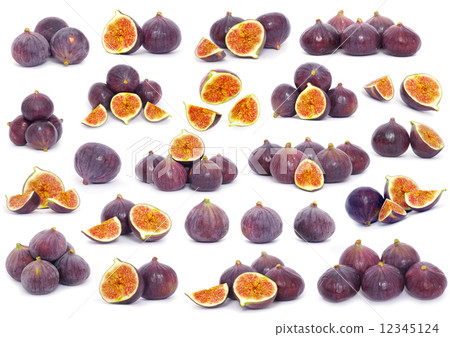 figs figs 12345124
