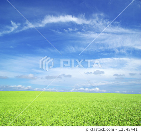 field 12345441
