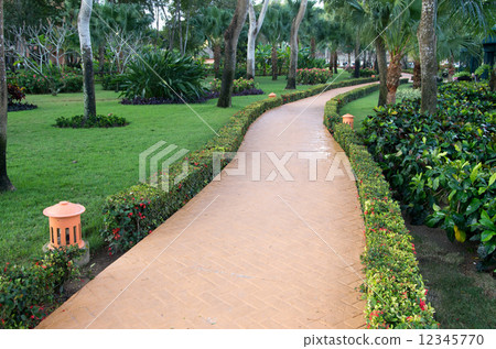 Garden 12345770