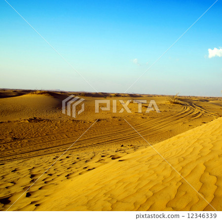 Desert landscape 12346339