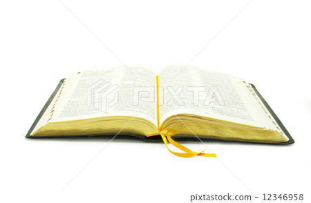 open bible 12346958