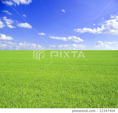 field 12347404