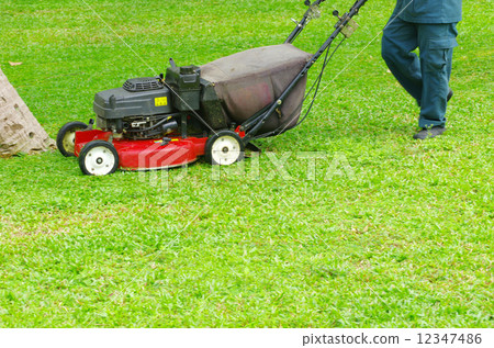 mowing the lawn 12347486