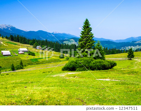 mountain summer landscape 12347511