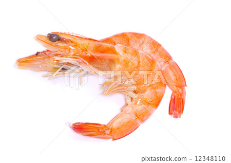 shrimp shrimp 12348110