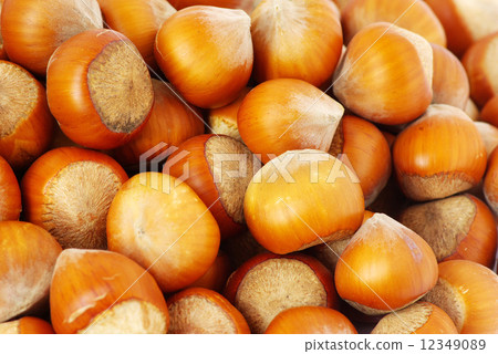 hazelnuts hazelnuts 12349089