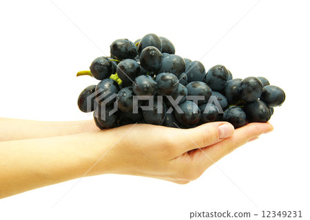 grape in hand grape in hand 12349231
