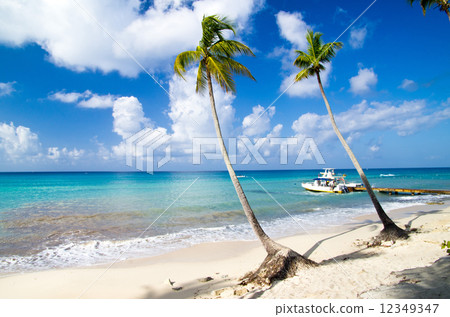 Tropical beach 12349347
