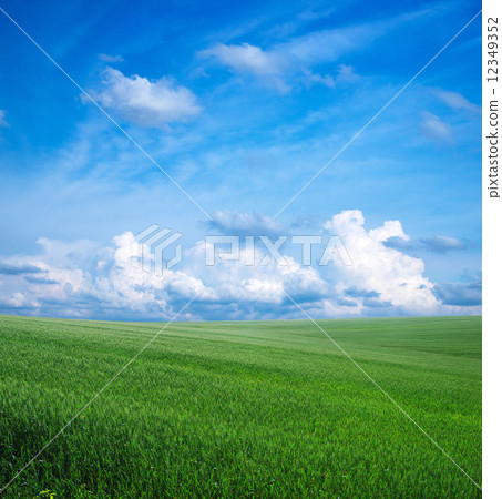 green field 12349352