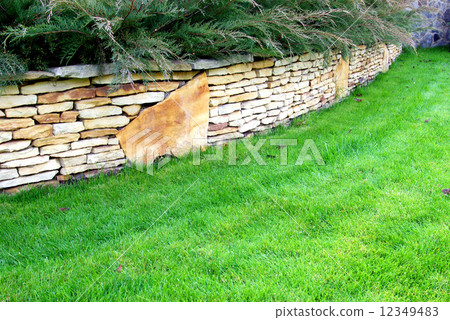 garden 12349483