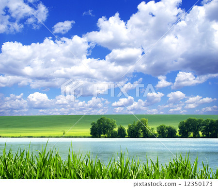 field 12350173