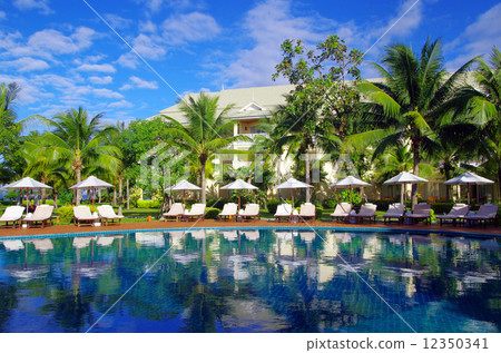 tropical swimming pool tropical swimming pool 12350341