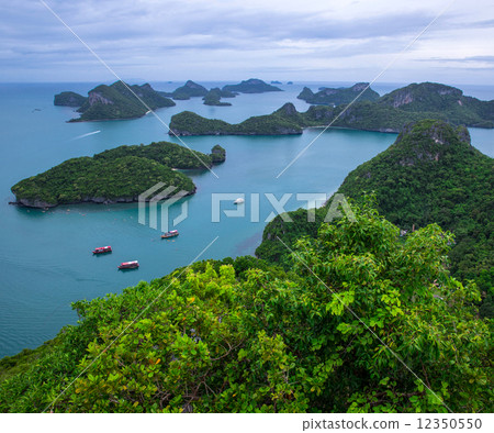 Landscape 12350550